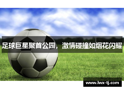 足球巨星聚首公园，激情碰撞如烟花闪耀