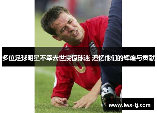 多位足球明星不幸去世震惊球迷 追忆他们的辉煌与贡献
