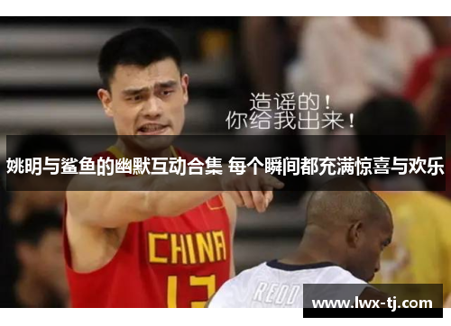 姚明与鲨鱼的幽默互动合集 每个瞬间都充满惊喜与欢乐