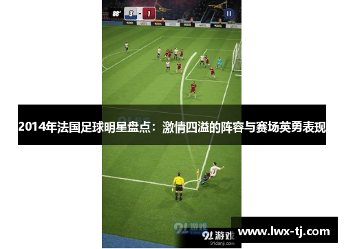 2014年法国足球明星盘点：激情四溢的阵容与赛场英勇表现