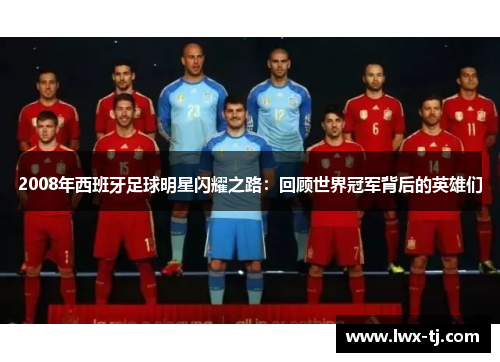 2008年西班牙足球明星闪耀之路：回顾世界冠军背后的英雄们